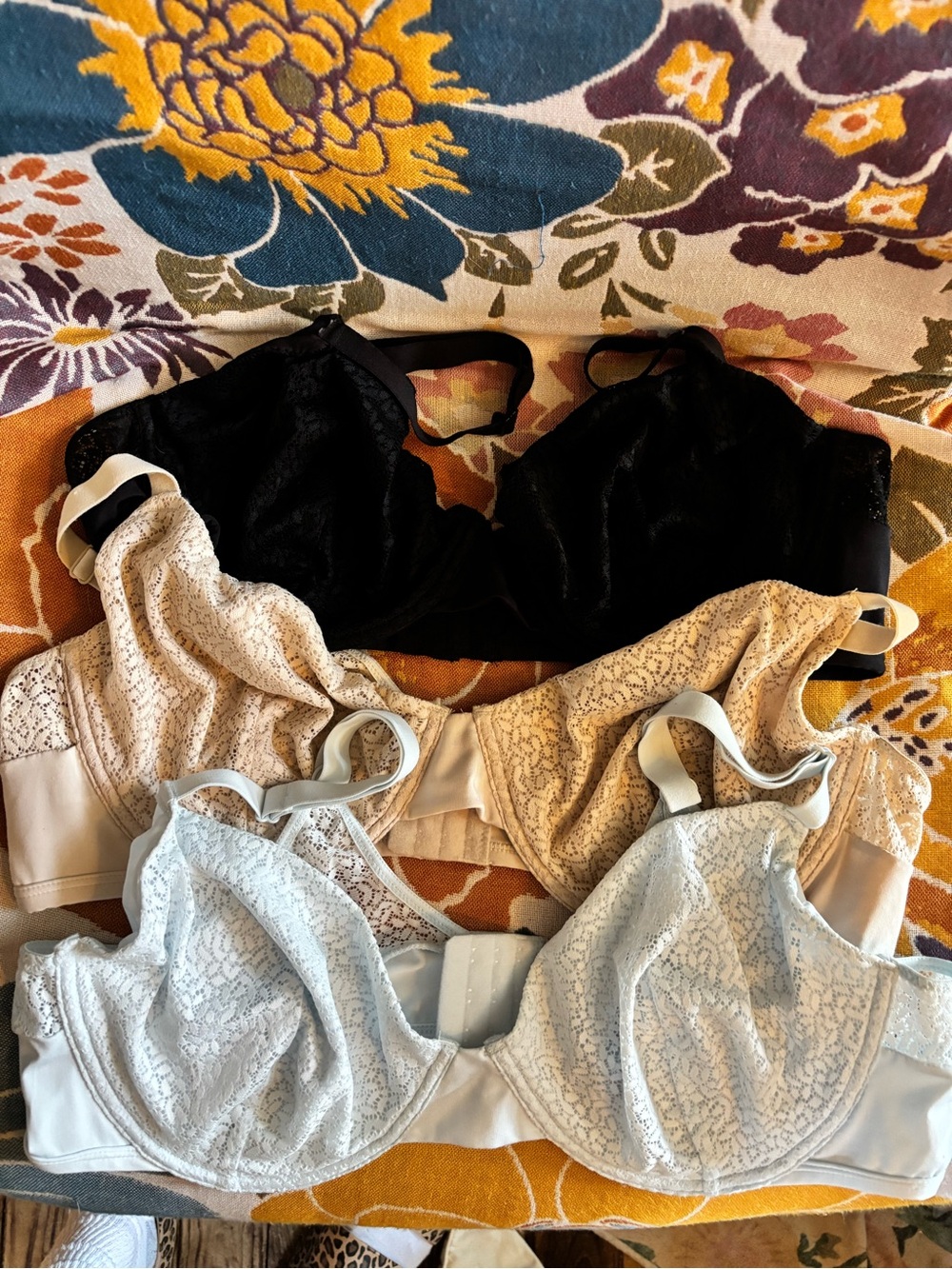 Anne Klein Black, Beige & Light Blue Lace Unlined Full Figure T-Shirt Bras